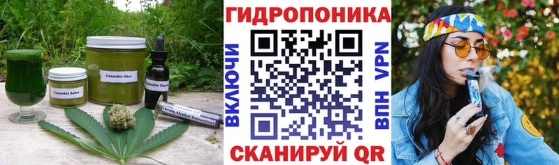 Купить закладки  Петров Вал  Canna-Cookies конопля 
